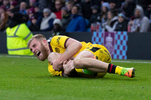 拥有稳定的 拥有稳定的